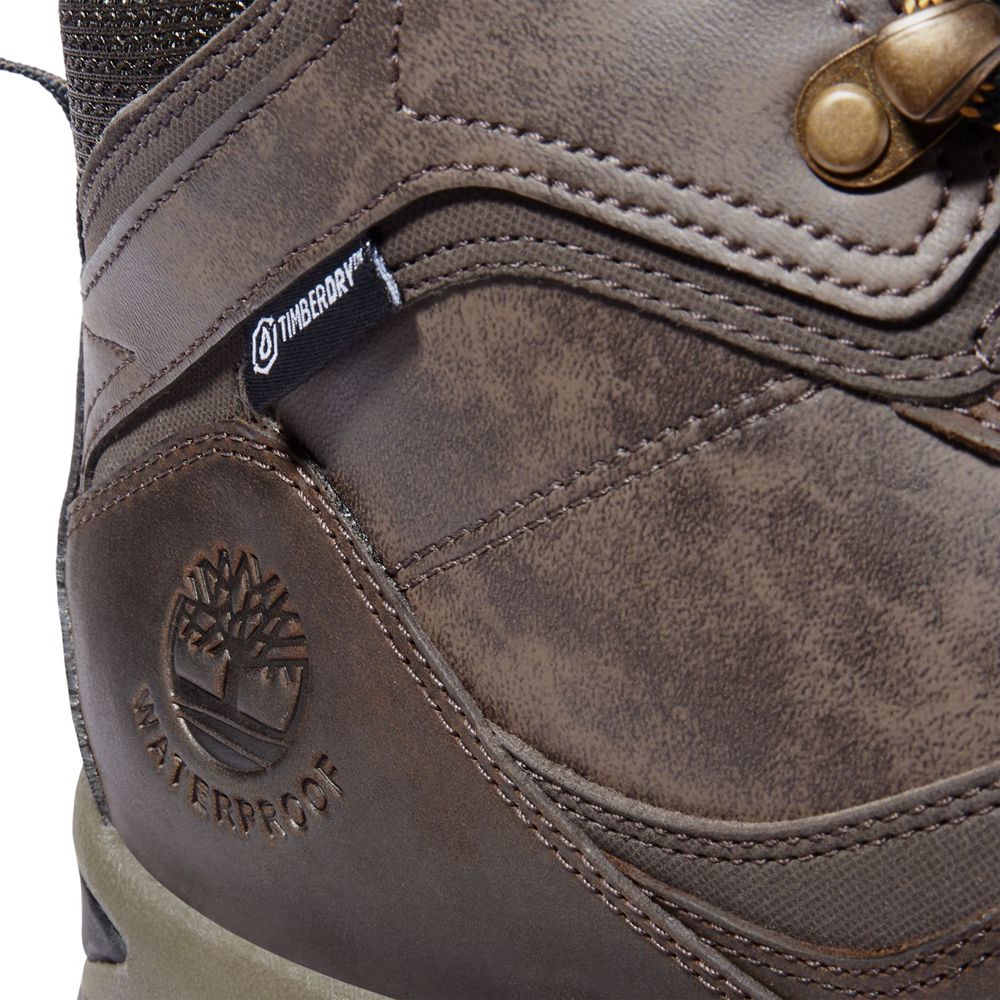 Botas de Montaña Timberland Hombre Mt. Maddsen Mid Waterproof Marrones Oscuro - Chile AOH-291086